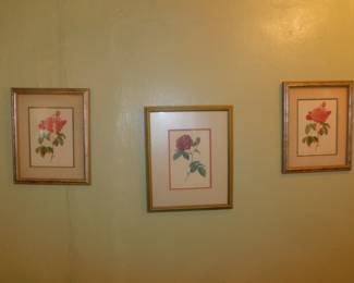 Framed Botanicals