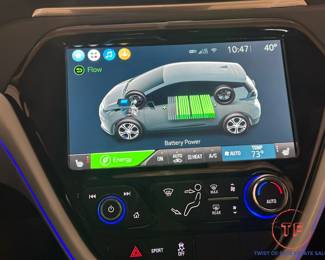 2020 Chevy Bolt EV - 3,700 Miles