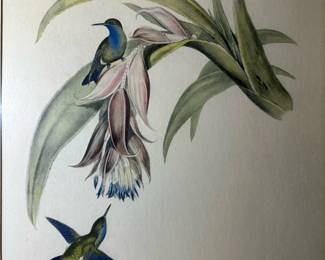 JOHN GOULD, H.C. RICHTER Antique Hand Colored Lithograph - Hummingbirds