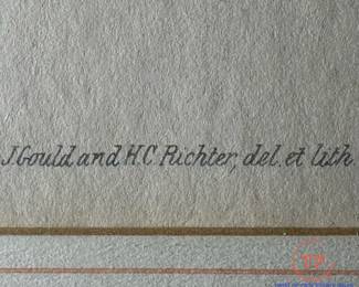 JOHN GOULD, H.C. RICHTER Antique Hand Colored Lithograph - Hummingbirds