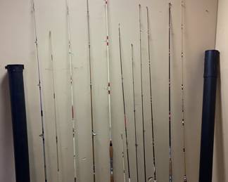  ASSORTED FISHING RODS, BERKLEY,