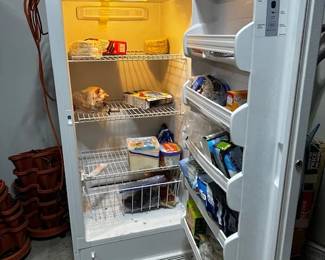 FRIGIDAIRE FREEZER INSIDE