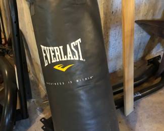 Everlast Punching Bag