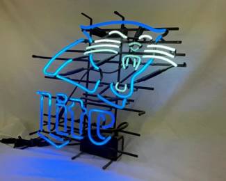 2 COLOR NEON CLOSEUP