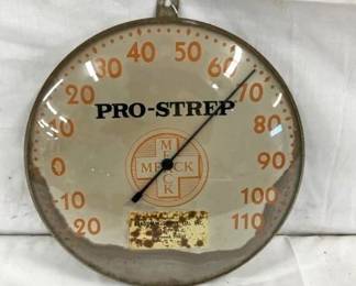10IN. PRO-STREP THERMOMETER