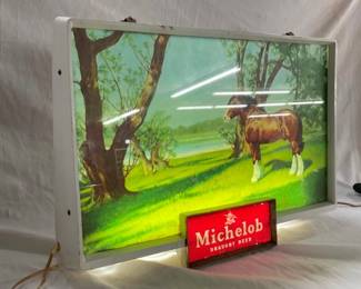 CLOSE UP VIEW W/HORSE 