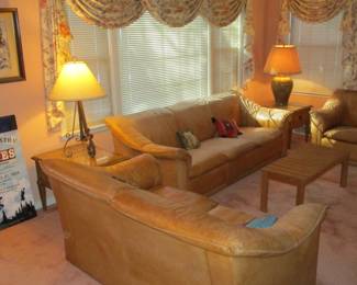 living room furniture and lighting