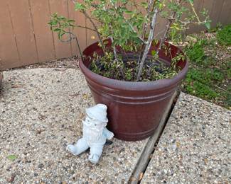 just  hanging out in the yard !!