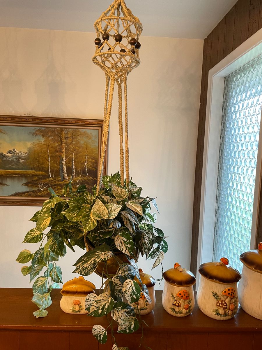 50 OFF Allen Park Estate Sale by All Out... starts on 12/8/2023