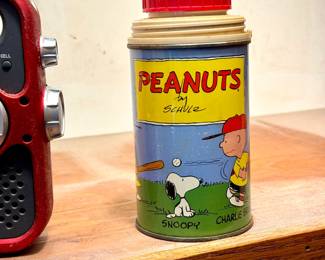 Peanuts Charlie Brown in Amherst MA 01002