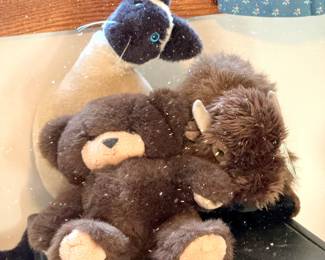 Studies MASSACHUSETTS 