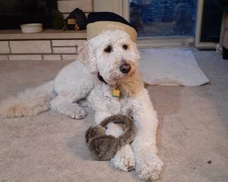 Accessorizing and Modeling only