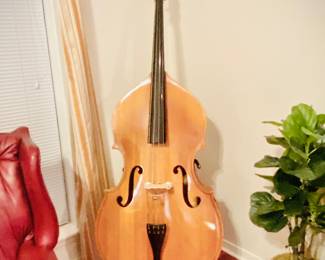 Engelhardt S1 bass