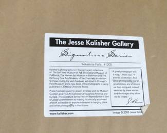 Jesse Kalisher