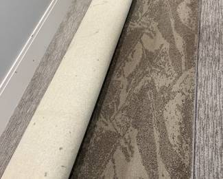 9/5 brand new rug $150
5-7  available for $100
12/13 available for $400