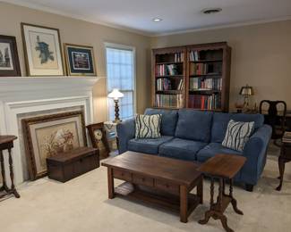 Living room furniture & decor