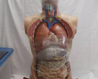 Medical Teaching Tool