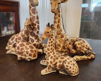 Family of giraffes