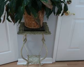 plant and   plant  stand