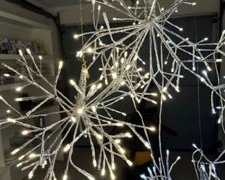 Tree Branches Christmas Lights