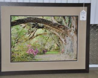 American Artist Marc Garrison (b. 1951) Color Photograph Titled, "Magnolia Park" Framed & Double Matted, Signed Inverso 24.75" x 19", ($195).