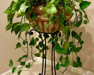 Arrowhead & Phothos Plant on Iron Stand