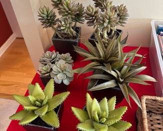 Artificial Succulent Plants