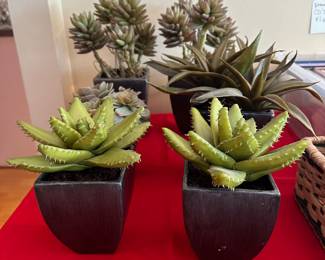 Artificial Succulent Plants