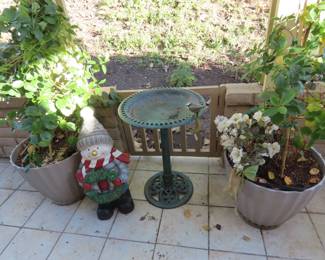 Large plants, resin birdbath.
