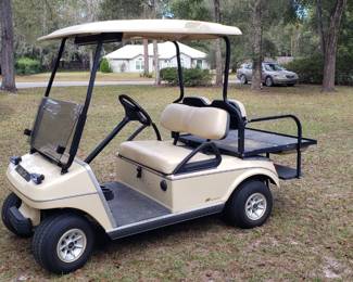 ClubCar gas powered cart.