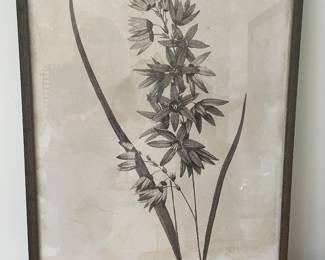 Brown framed flower, 29"W x 23"H,  was $22, NOW $18