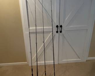 Additional view of fishing rods~