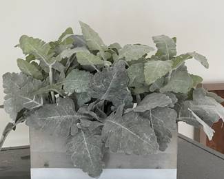 Greenery in resin planter, 9"W x 4"D x 9"H,  was $12, NOW $9