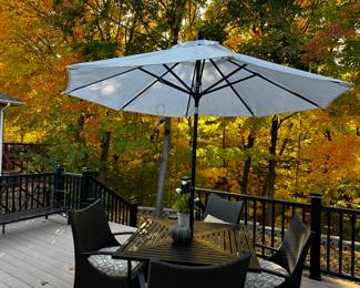 Hampton Bay 4 wicker chairs w/cushions, table, Umbrella and umbrella stand, was $425, NOW $375