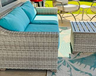 4	$275 
Outdoor sofa 35Dx64Lx29T with coffee table storage 2x2x18H  									
Rug Monaco 5'3""x7'6"" indoor outdoor Coastal Flora	