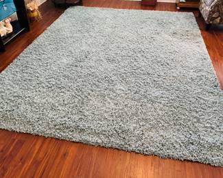 13	$150 	- NOW $75
Turquoise rug Olympia Shag 8x10 Seafoam	