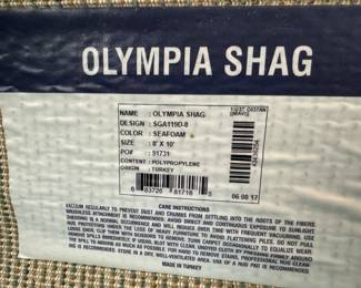 13	$150 	
Turquoise rug Olympia Shag 8x10 Seafoam	