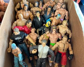 WWF and WWE Wrestling Action Figures