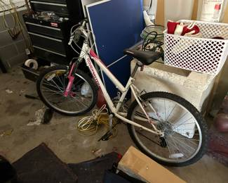 RoadMaster Bicycles in Great Condition!