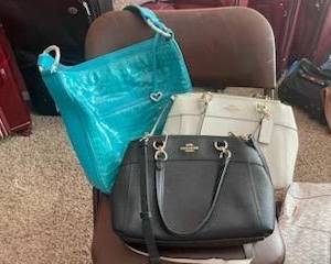 Gorgeous Designer Handbags, Clutch Purses, and More! "Galore!" in excellent condition featuring names like: Louis Vuitton, Coach, Michael Kors, and Many, Many More!!! 