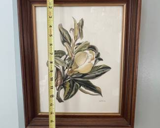 Pair of botanical prints 