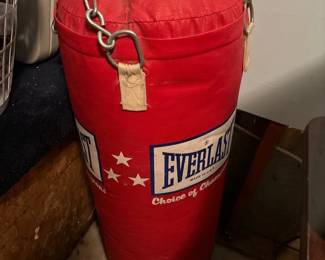 everlast Punching bag