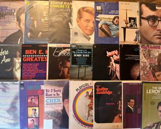 Sampling of the types and titles of the LPs to be included in the large collection of records to be sold.