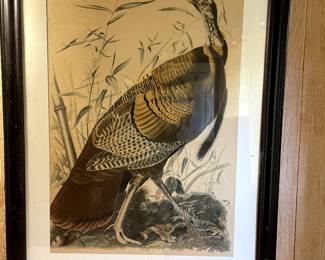 Antique Audubon Turkey, $1375.