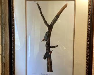 After Audubon, Brown Headed Nuthatch, $175