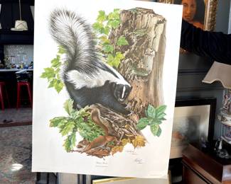 Richard Timm, "Striped Skunk" Signed. $125