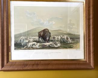 Important Catlin Hand-colored Engraving "Buffalo Hunt, White Wolves Attacking a Buffalo Bull". Plate #10 (from Catlins N.A. Indian Collection, Print Marks Catlin del on Stone by MCGAHEY) Day and Haghe Lithographer to the Queen. $1975