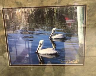 Tranquil Framed Photoesque Print of Swimming Pelicans Signed by Artist