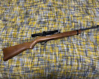 Ruger 10/22. All guns go thru FFL.