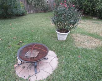 Rose Bush and Fire pit